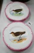 A set of nine Victorian porcelain ornithological plates, 23cm diameter,