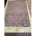 A North West Persian ivory ground rug, 170 x 112cm