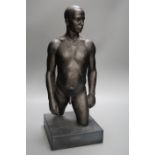 A bronzed plaster nude male torso, 48cms high,