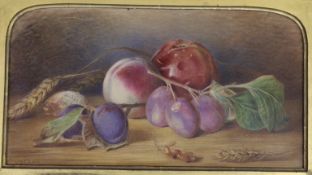Mary Elizabeth Duffield (née Rosenberg)(1819-1914), watercolour, Still life of apples and plums,