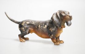 An Austrian cold painted model of a dachshund, stamped Geschutzt. 11cm long