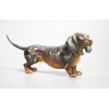 An Austrian cold painted model of a dachshund, stamped Geschutzt. 11cm long