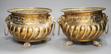 A pair of 19th century Dutch brass two handled jardinieres, 25cm handle to handle