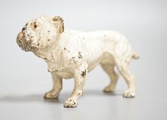 Two Austrian cold painted models of bulldogs, stamped Geschutzt. 10cm long