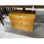 A Victorian style pine trunk with hinged top, width 61cm, depth 37cm, height 44cm