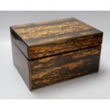 A 19th century coromandel box, 31cm, no key