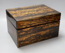 A 19th century coromandel box, 31cm, no key