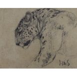 John Macallan Swan (1847-1910), black chalk, Leopard's head, initialled, 9 x 11.5cm