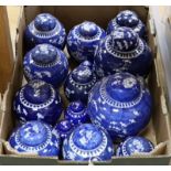 A quantity of Chinese blue and white prunus ginger jars (14)