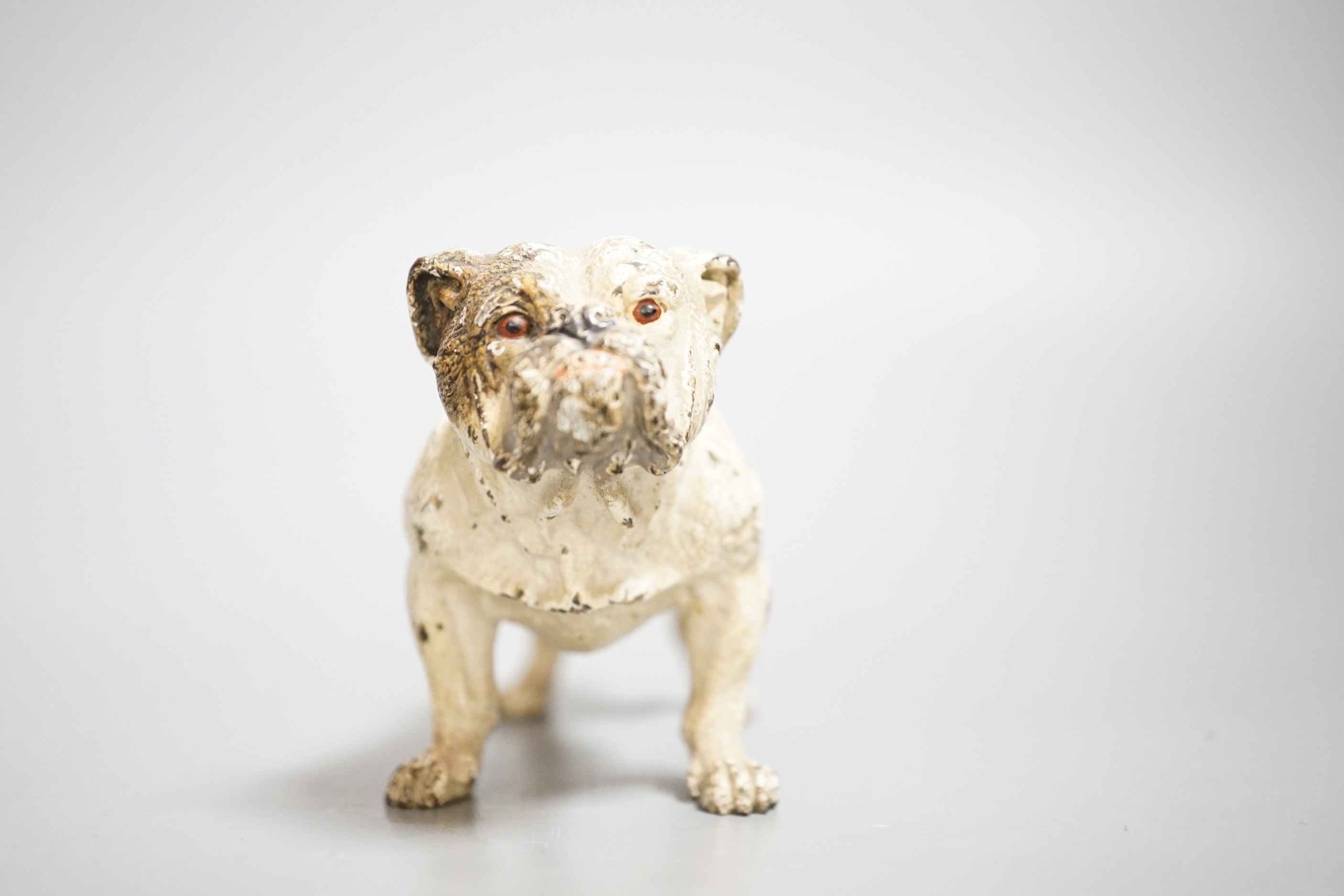 Two Austrian cold painted models of bulldogs, stamped Geschutzt. 10cm long - Image 2 of 10