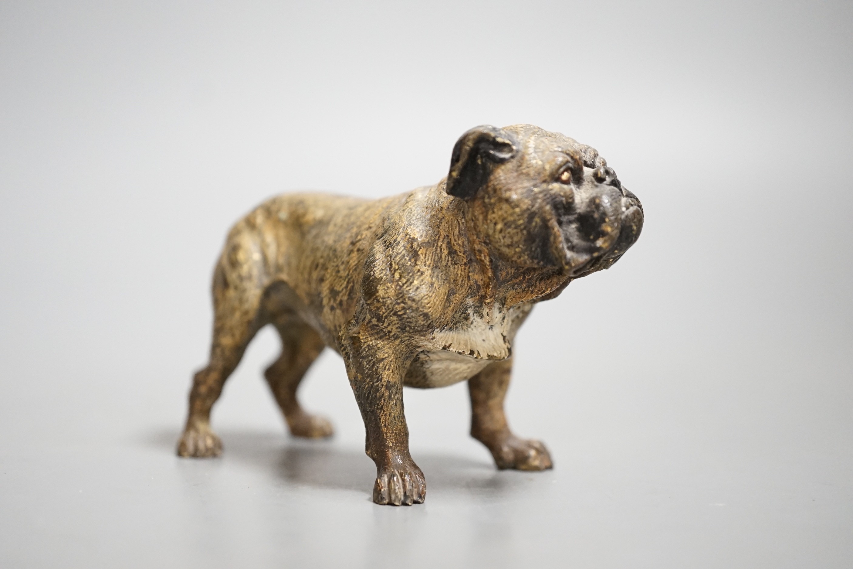 Two Austrian cold painted models of bulldogs, stamped Geschutzt. 10cm long - Image 8 of 10