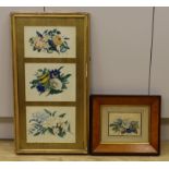 Victorian School, four watercolours, Botanical studies, largest 17 x 24cm, housed in two frames