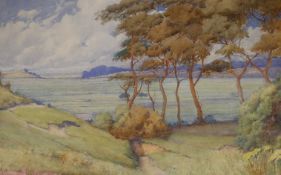 English School, watercolour, Extensive landscape with pine trees, 34 x 51cm