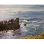 Daniel Cozens, oil on board, Sea cliffs, signed, 40 x 50cm
