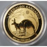 A QEII 2019 1oz gold Australia Kangaroo $100 coin.