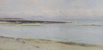 George Cockram (1861-1950), watercolour, Coastal landscape with gulls, signed, 27 x 55cm
