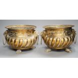 A pair of 19th century Dutch brass two handled jardinieres, 25cm handle to handle