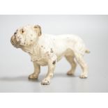 Two Austrian cold painted models of bulldogs, stamped Geschutzt. 10cm long