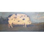 English School, oil on canvas, Primitive study of a prize pig in a landscape, 27 x 58cm, maple