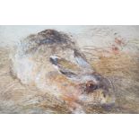 F. Barry, watercolour, Study of a rabbit, signed, 13 x 20cm and a late Victorian coloured