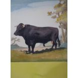 Victor Whittles, watercolour, Study of a bull, signed and dated 1948, 42 x 31cm, unframed