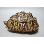 Early 20th century Ceylonese tortoise trinket box, with marquetry inlaid interior, 24.5 cm wide