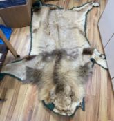 An early 20th century lion skin fur rug with green felt backing,