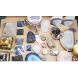 A collection of polished hardstone specimens, fossils, coral etc.