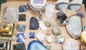 A collection of polished hardstone specimens, fossils, coral etc.