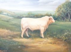 Maggie Barton, oil on board, Prize bull in a landscape, signed, 21 x 29cm