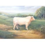 Maggie Barton, oil on board, Prize bull in a landscape, signed, 21 x 29cm