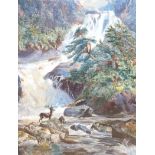 N. Gebherdt, watercolour, Stag beside a waterfall, signed, 57 x 43cm