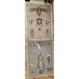 Oundle School, insect dissection wall illustration and another, similar