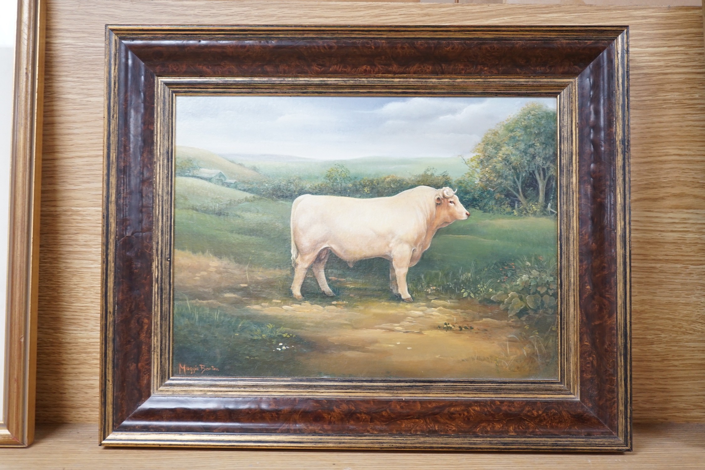 Maggie Barton, oil on board, Prize bull in a landscape, signed, 21 x 29cm - Image 2 of 3