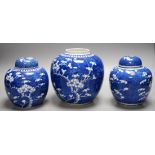 Three late 19th/early 20th century Chinese blue and white prunus jars, two covers. Tallest 16cm