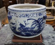 A large Chinese blue and white fish bowl. 39cm high