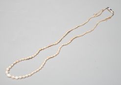 A single strand graduated natural saltwater pearl necklace, with sapphire and diamond set clasp,