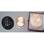 A good quality unmounted oval cameo shell, carved with the bust of a Roman soldier to sinister,