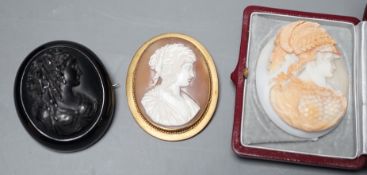 A good quality unmounted oval cameo shell, carved with the bust of a Roman soldier to sinister,