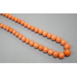 A single strand graduated coral bead necklace, 48cm, gross 29 grams.
