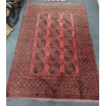 An Afghan red ground carpet, 290 x 200cm