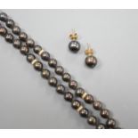 A single strand Tahitian cultured pearl necklace, with yellow metal spacers and a 14k yellow metal