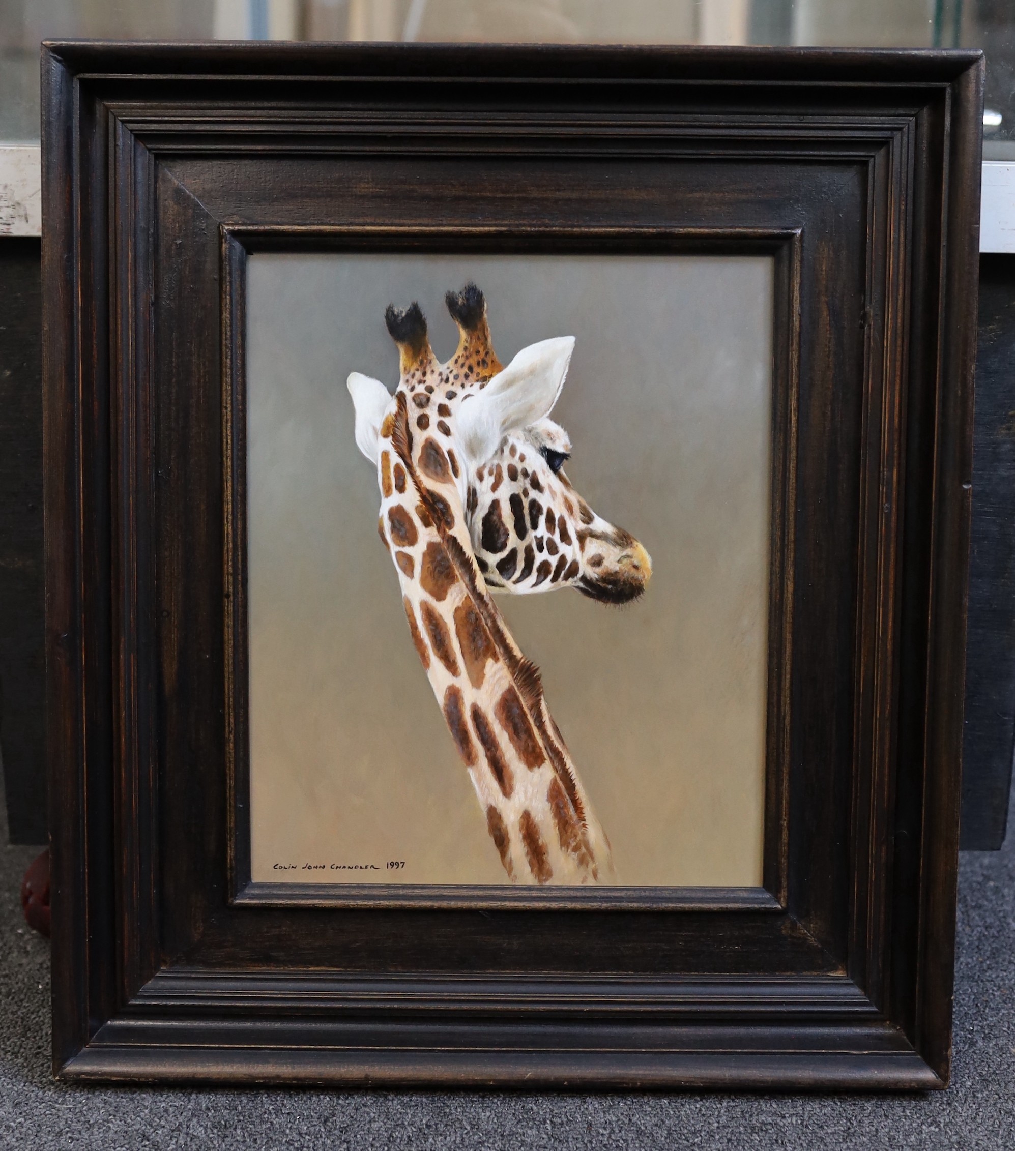 Colin John Chandler (British, b.1958), oil on board, 'Giraffe', signed and dated 1997, 29 x 23.5cm - Image 2 of 4