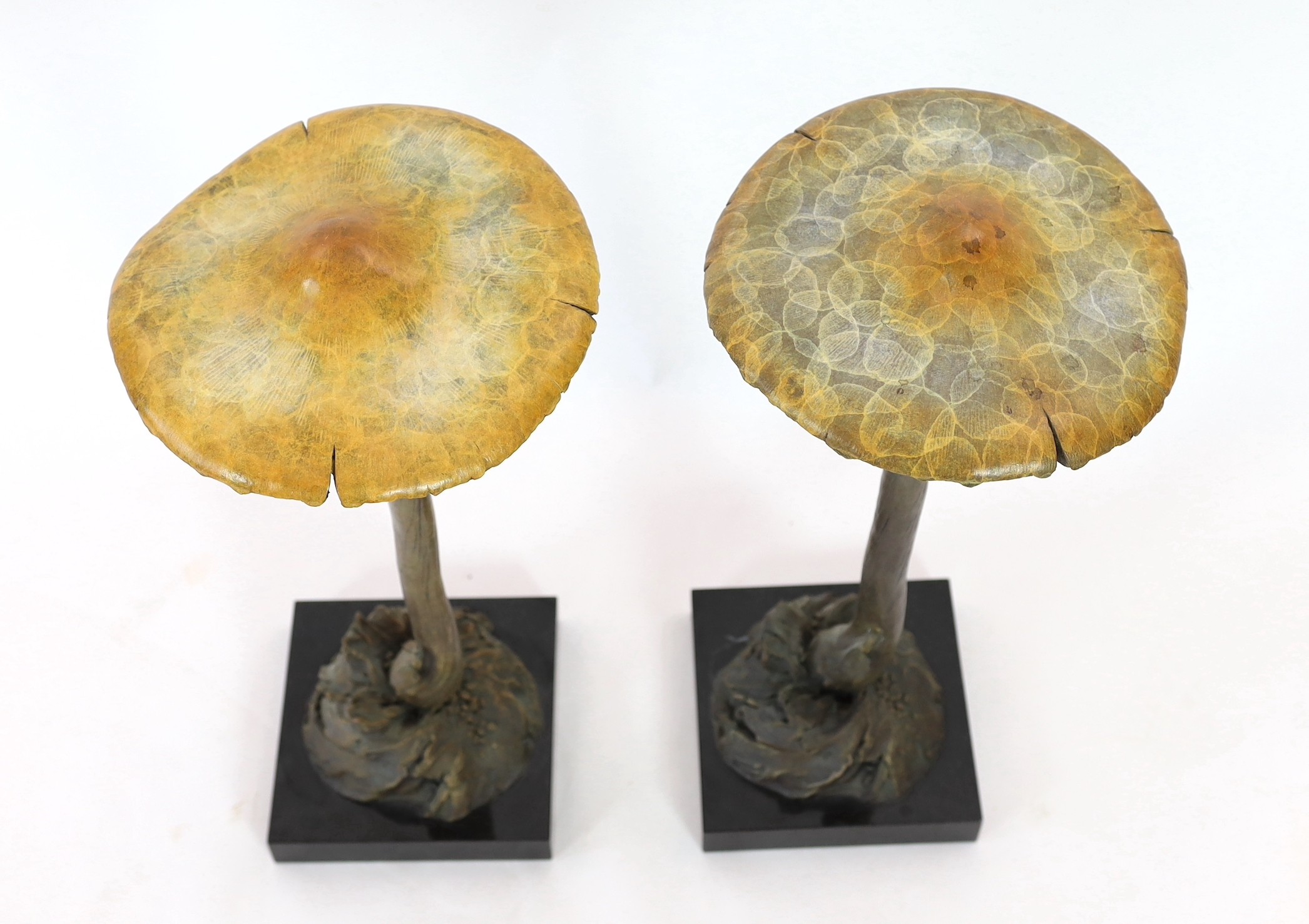 § § David Goode (British, b.1966). A pair of bronze Psathyrella mushrooms, each with a snail to - Image 2 of 6