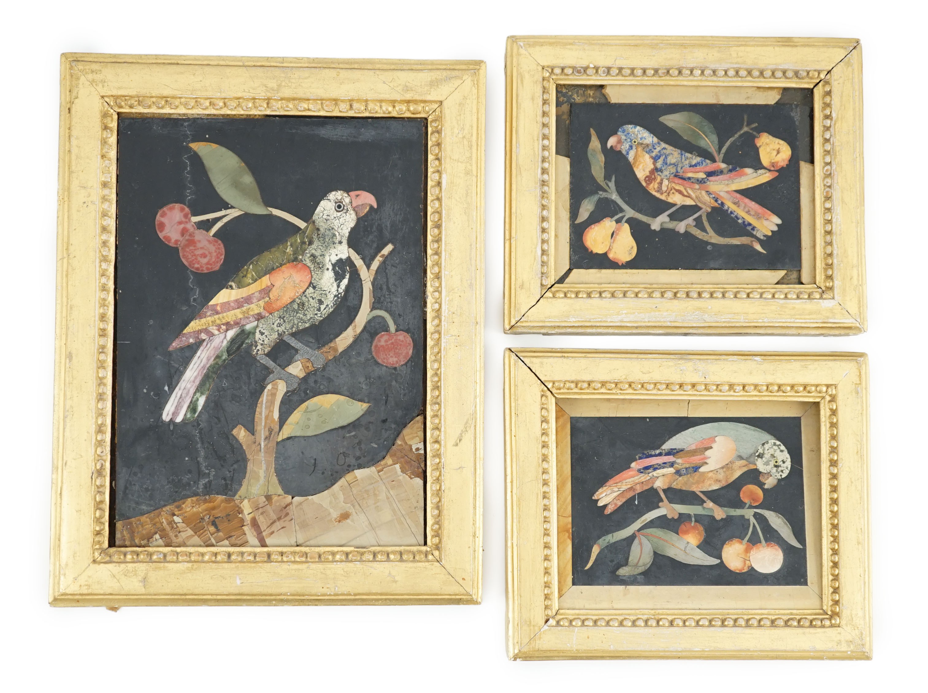 Three 17th / 18th century Italian pietra dura plaques depicting parrots on cherry branches, giltwood