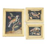 Three 17th / 18th century Italian pietra dura plaques depicting parrots on cherry branches, giltwood