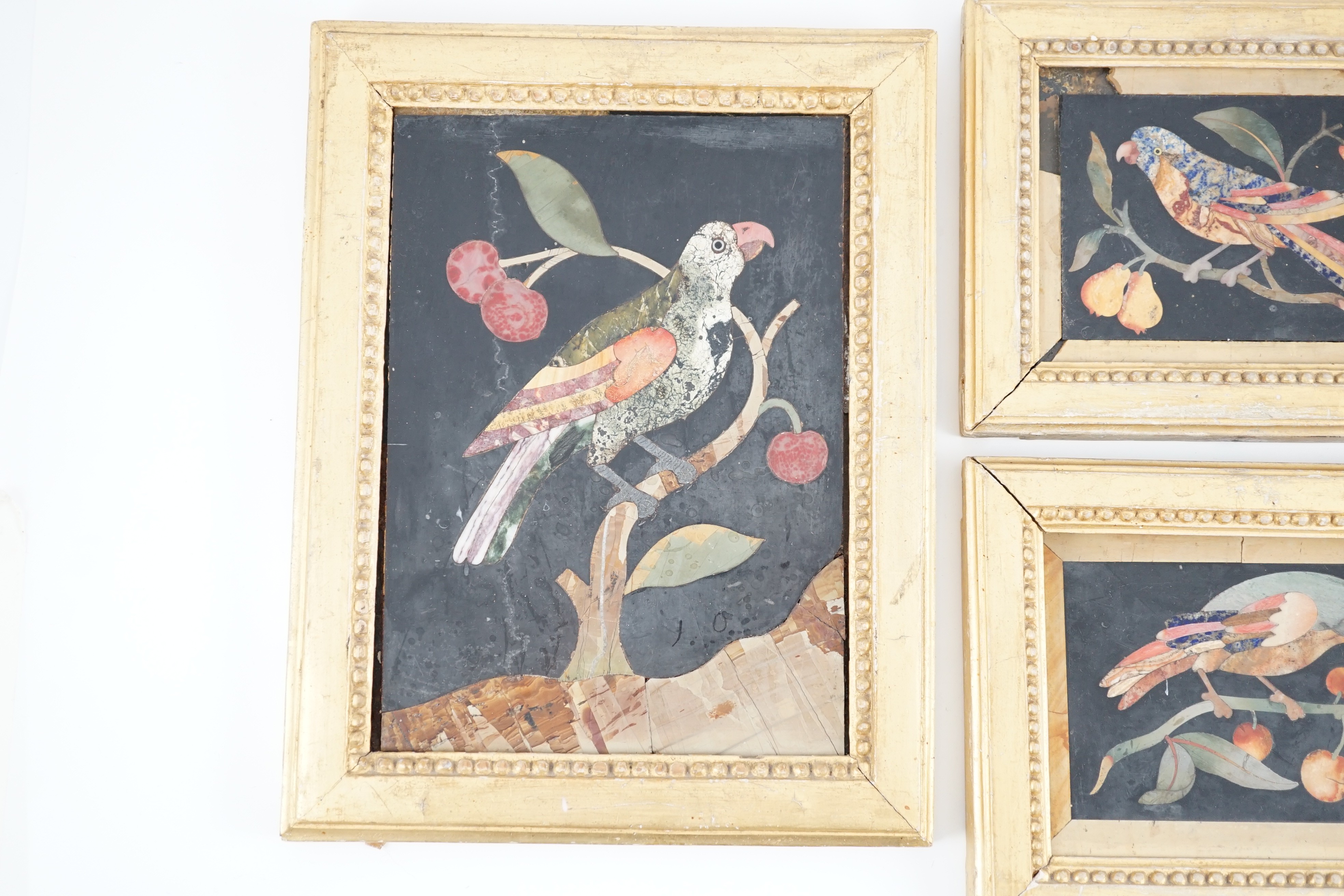 Three 17th / 18th century Italian pietra dura plaques depicting parrots on cherry branches, giltwood - Image 4 of 4