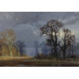§ § David Shepherd O.B.E. (British, 1931-2017) 'Rainy afternoon'oil on canvassigned25 x 36cm***