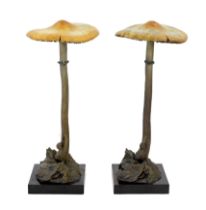 § § David Goode (British, b.1966). A pair of bronze Psathyrella mushrooms, each with a snail to