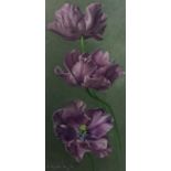 § § Eliot Hodgkin (British, 1905-1987) 'Tulips'oil on boardsigned and dated May '6143 x 21 cm***
